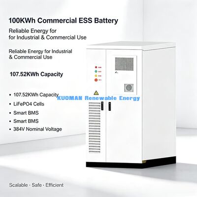 Système de stockage d'énergie LiFePO4 ESS robuste de 100 KWh Environnement hostile Adaptable à une utilisation dans un entrepôt industriel