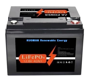 537.6Wh 12V 40Ah Batterie au lithium à cycle profond LiFePO4 Batterie pour stockage d'énergie et chariot de golf