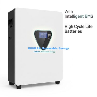 Batterie de stockage d'énergie solaire LiFePO4 montée sur le mur avec 6000 cycles et 25,6/51,2 V pour la sauvegarde à domicile