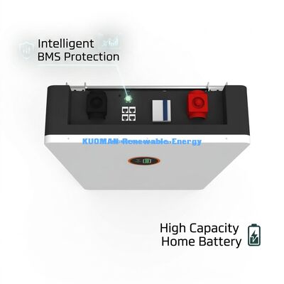 Batterie 48V 100AH LiFePO4 pour la maison avec surveillance en temps réel et garantie de 10 ans pour les systèmes d'énergie solaire