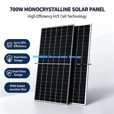Planche bifaciale de 700 watts pour la ferme solaire agricole, gain d'énergie amélioré sur le côté arrière